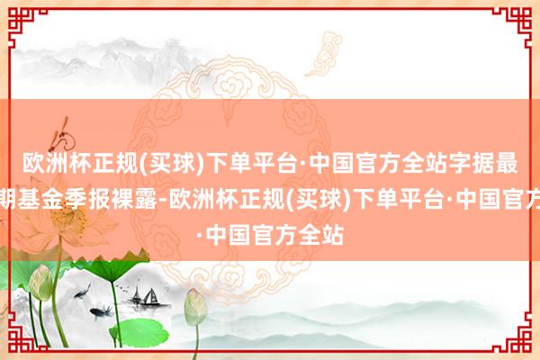 欧洲杯正规(买球)下单平台·中国官方全站字据最新一期基金季报裸露-欧洲杯正规(买球)下单平台·中国官方全站