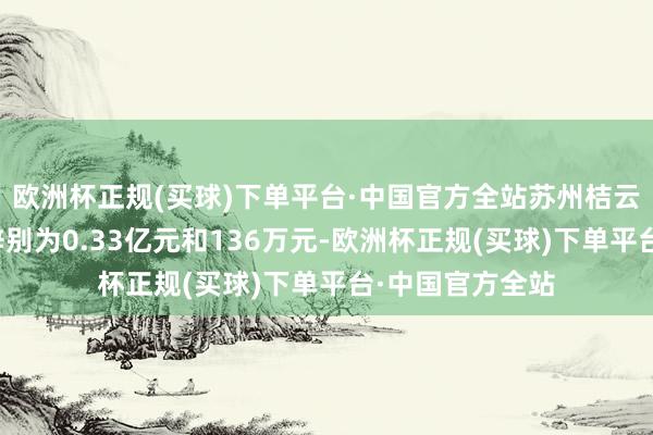 欧洲杯正规(买球)下单平台·中国官方全站苏州桔云营收和净利润辞别为0.33亿元和136万元-欧洲杯正规(买球)下单平台·中国官方全站