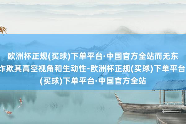 欧洲杯正规(买球)下单平台·中国官方全站而无东谈主机巡缉则诈欺其高空视角和生动性-欧洲杯正规(买球)下单平台·中国官方全站