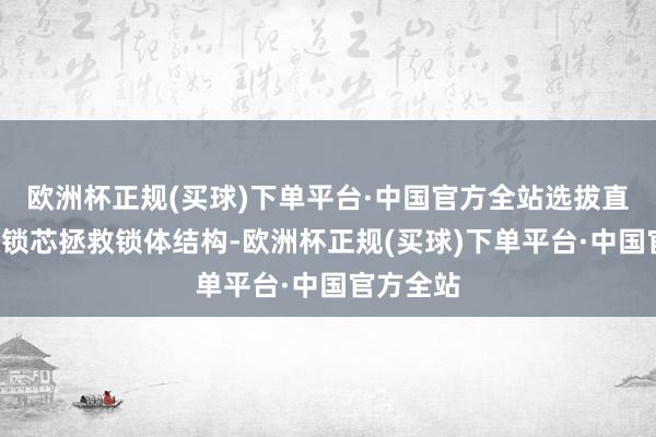 欧洲杯正规(买球)下单平台·中国官方全站选拔直插式C级锁芯拯救锁体结构-欧洲杯正规(买球)下单平台·中国官方全站