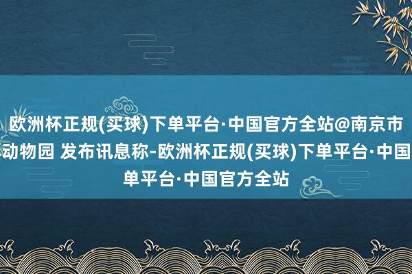 欧洲杯正规(买球)下单平台·中国官方全站@南京市红山丛林动物园 发布讯息称-欧洲杯正规(买球)下单平台·中国官方全站