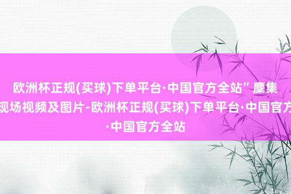 欧洲杯正规(买球)下单平台·中国官方全站”麇集多个现场视频及图片-欧洲杯正规(买球)下单平台·中国官方全站