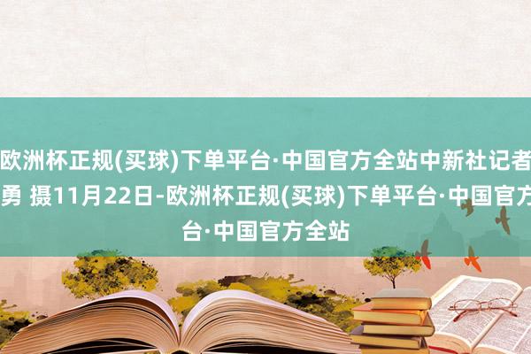 欧洲杯正规(买球)下单平台·中国官方全站中新社记者 贾天勇 摄11月22日-欧洲杯正规(买球)下单平台·中国官方全站